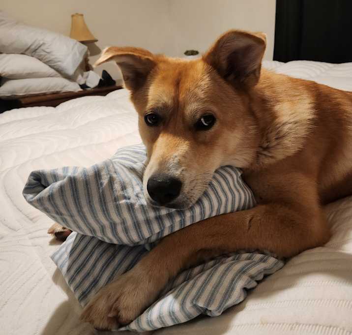 Photo of Lilly