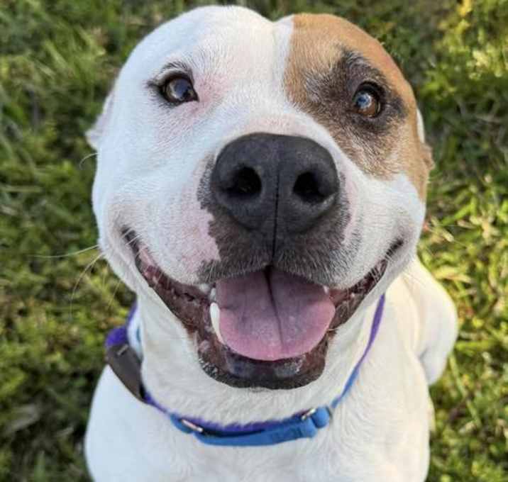 Photo of LOUIE