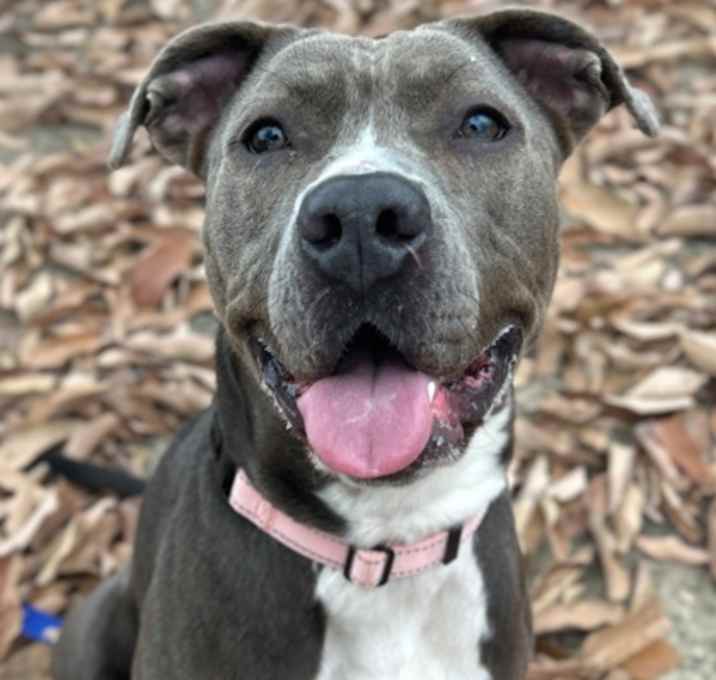 Photo of Zephyr