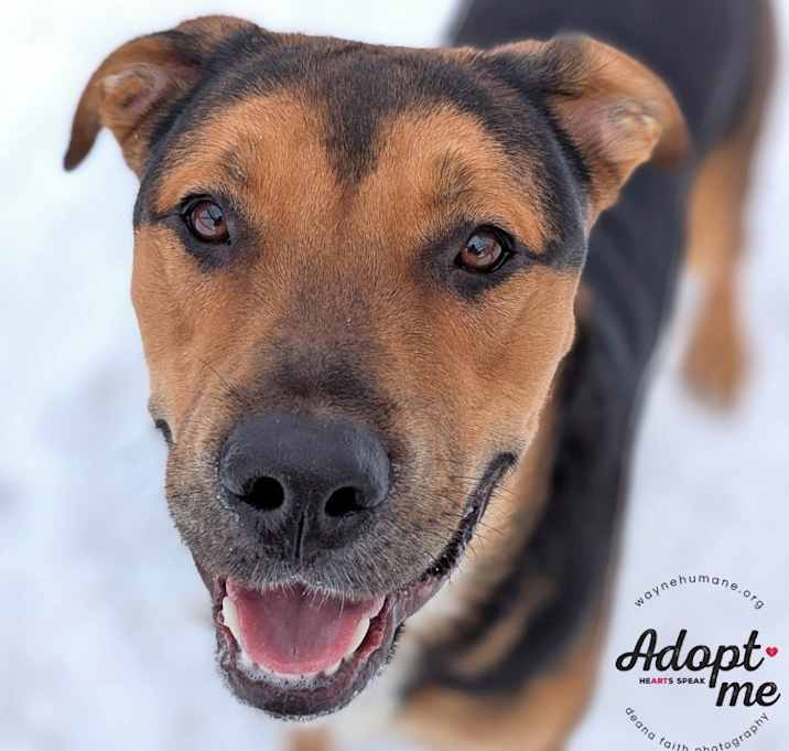 Photo of Zeus