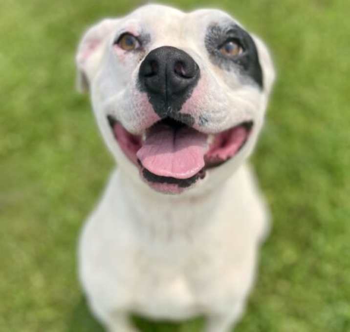 Photo of Willie