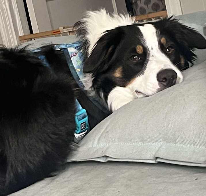 Photo of Daisey
