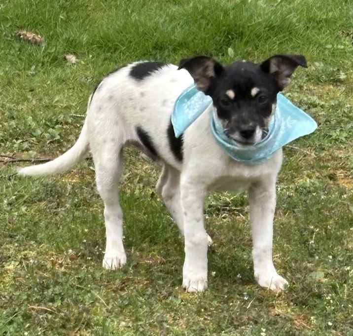 Photo of DOMINO In NY to meet & greet!
