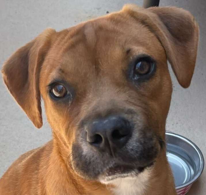Photo of Ruby