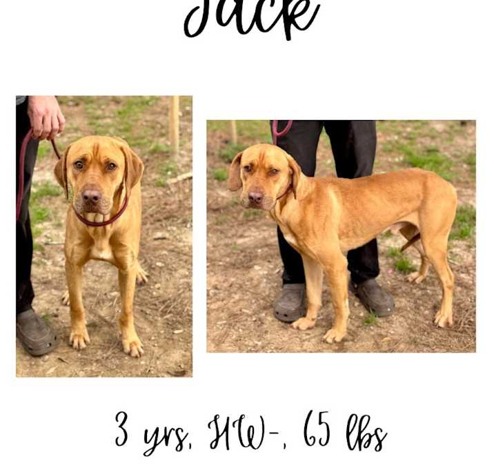 Photo of Jack