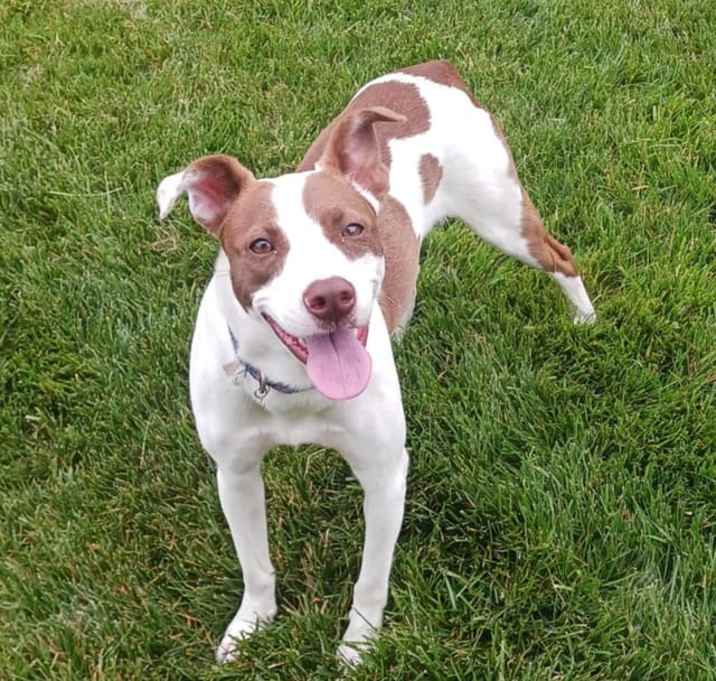 Photo of Luna