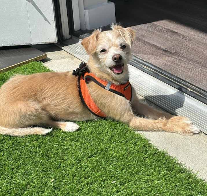 Photo of Kobe