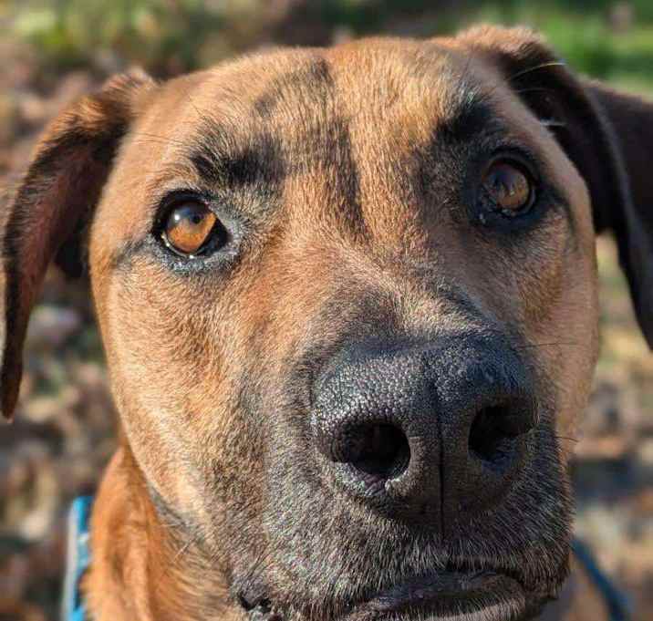 Photo of Benny