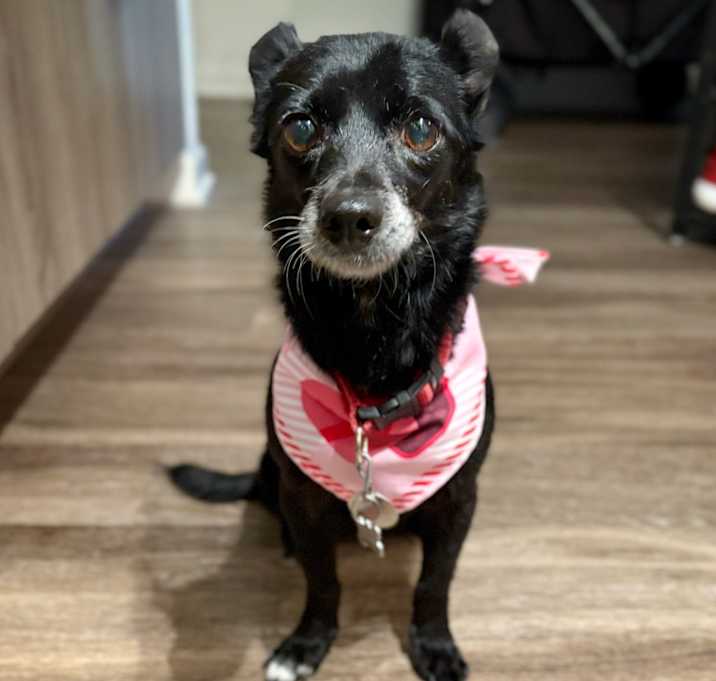 Photo of Cece