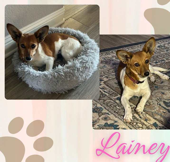 Photo of Lainey