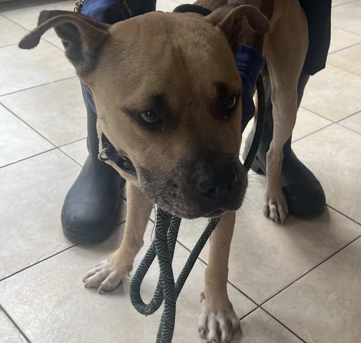 Photo of Maverick