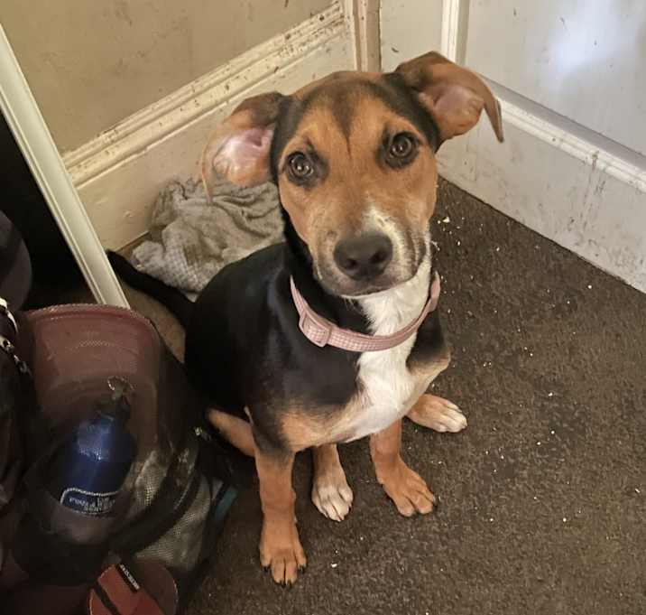 Photo of Nala Bean