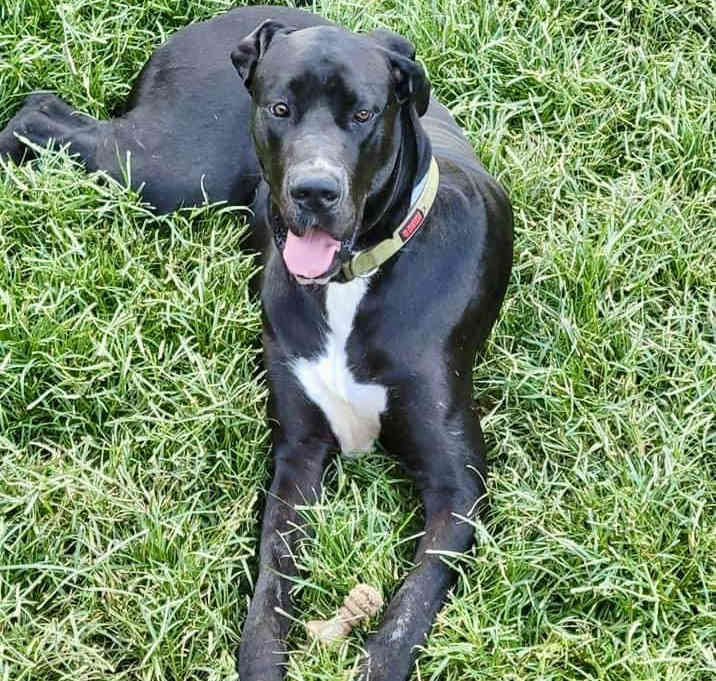 Photo of Sawyer