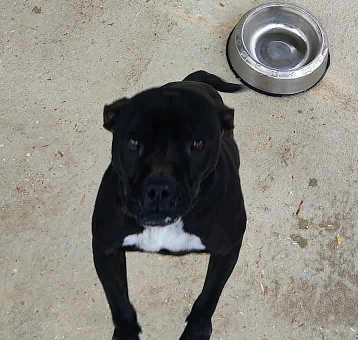 Photo of Sebastian
