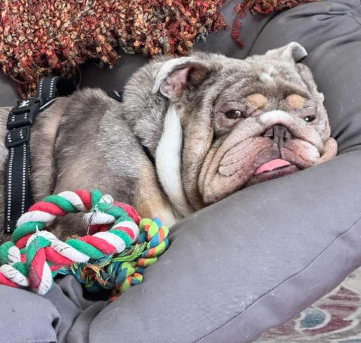 Photo of Kevin