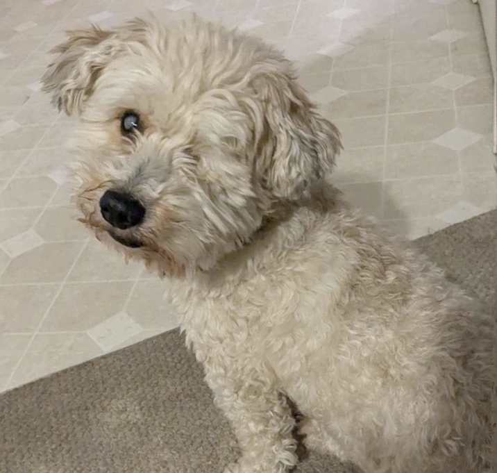 Photo of Arthur