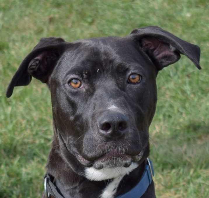 Photo of Duncan