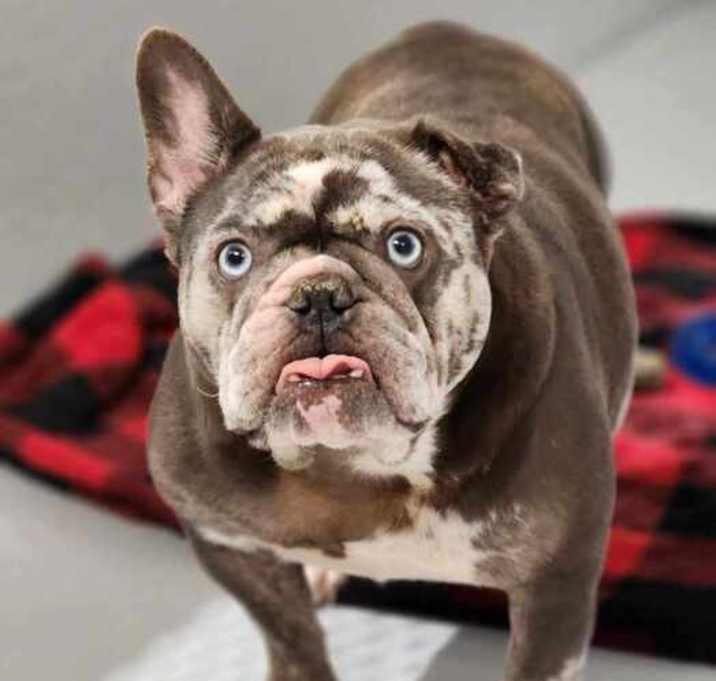 Photo of Bertha/Bertie