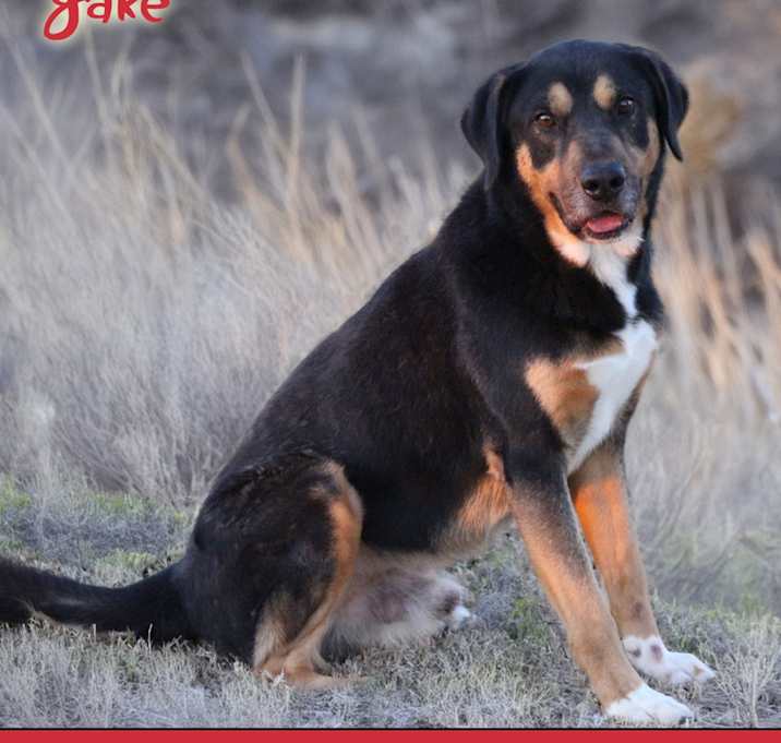 Photo of Jake