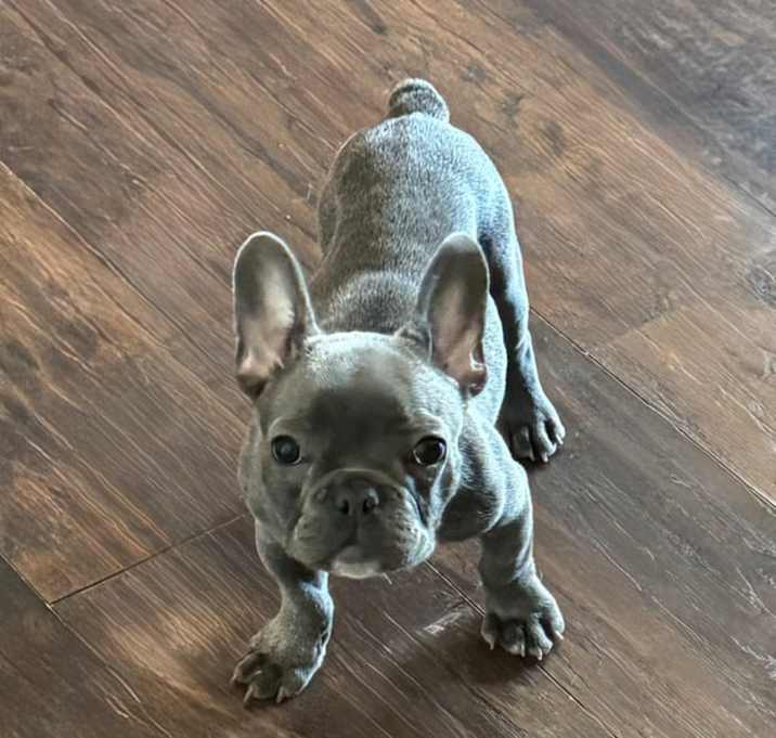 Photo of Storm