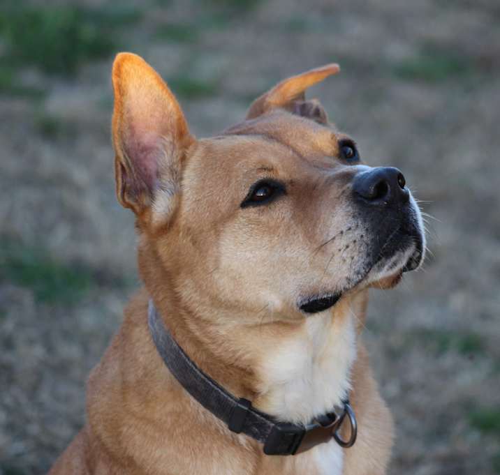Photo of Zeke