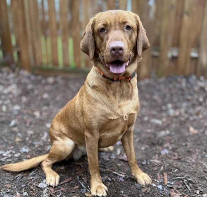 Photo of Kita
