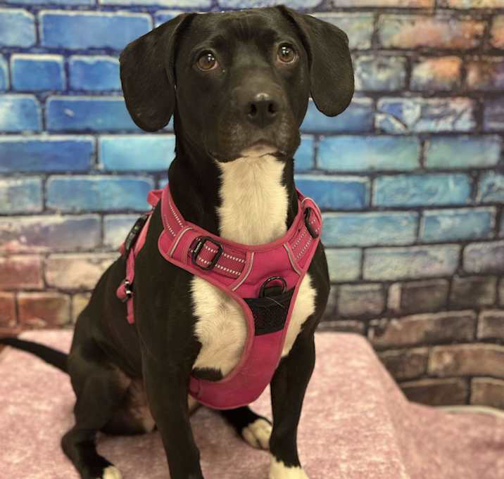 Photo of Ayla