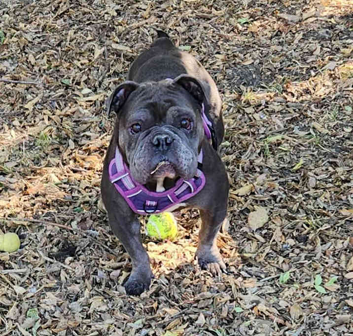 Photo of LOLA