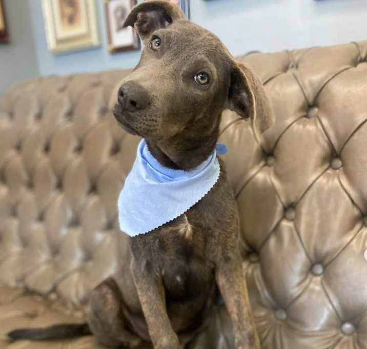 Photo of Beanie