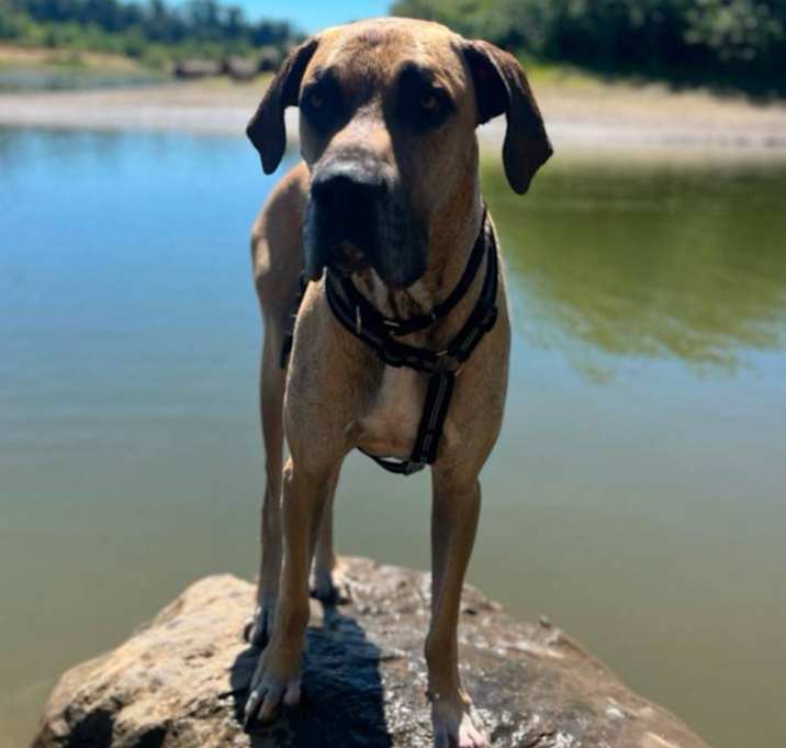 Photo of Bentley