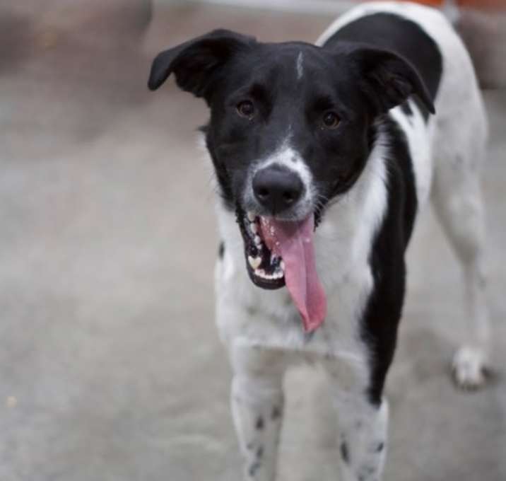 Photo of Walter