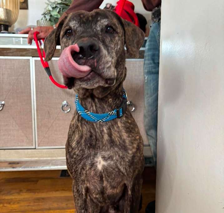 Photo of LOUIE in NY to meet & greet!