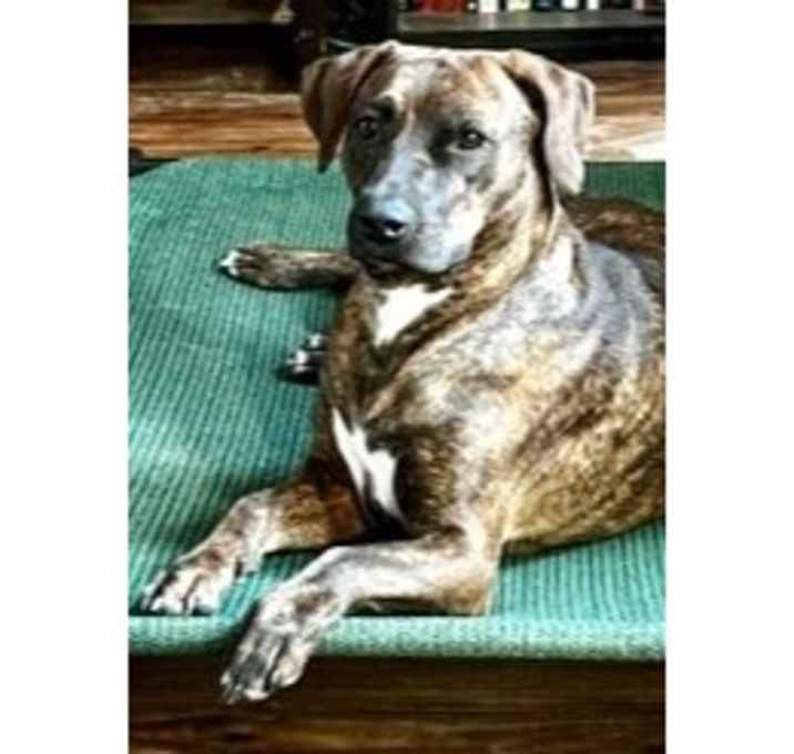 Photo of Holly