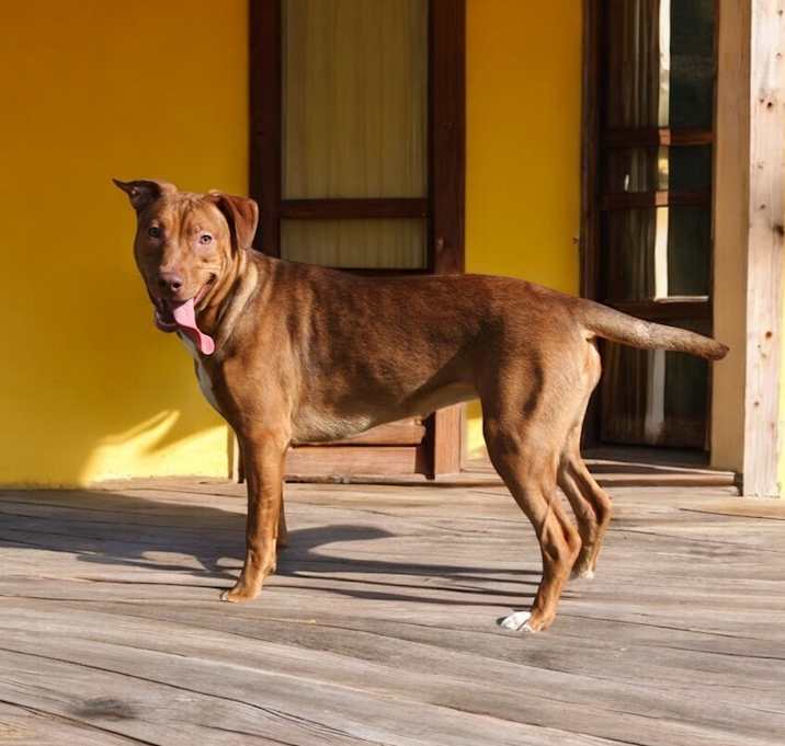 Photo of Butter