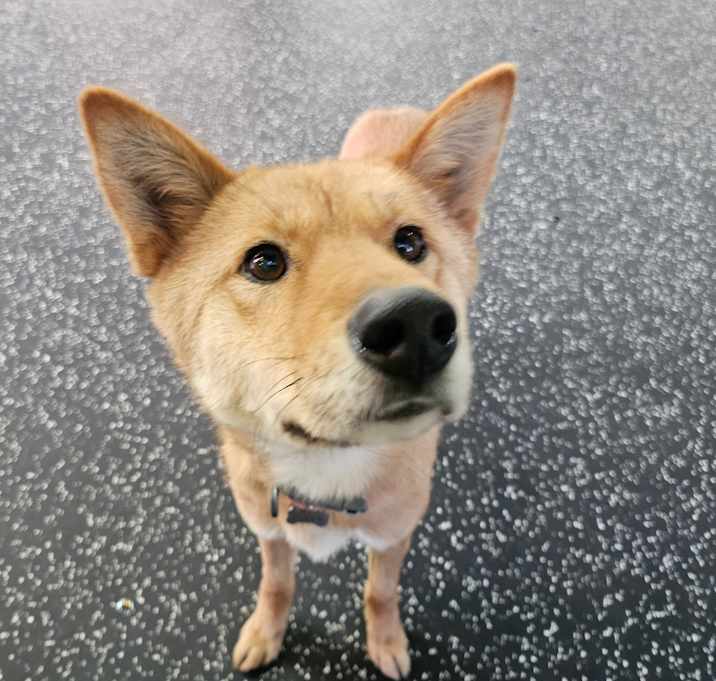 Photo of CREAM
