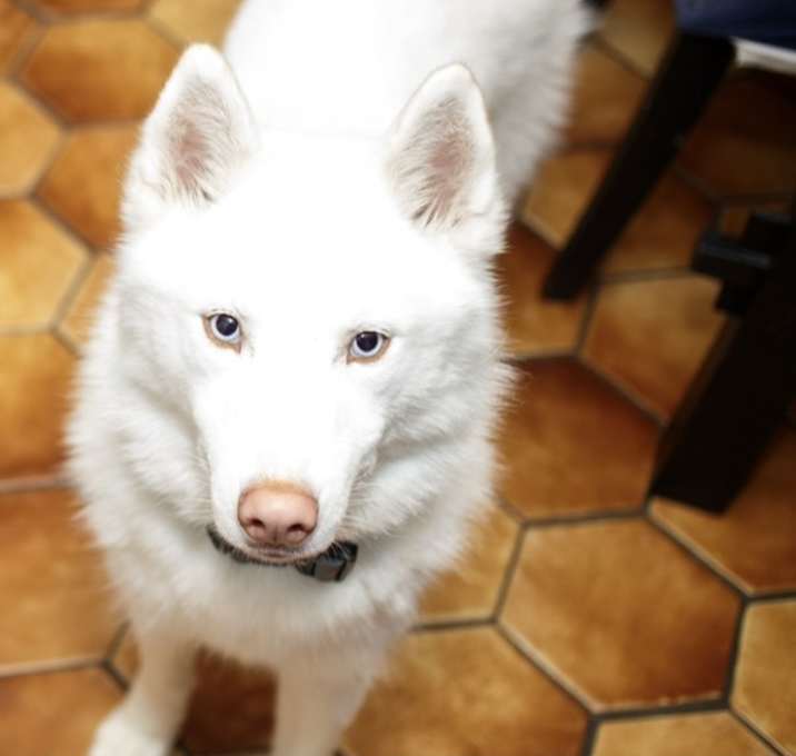 Photo of Luka