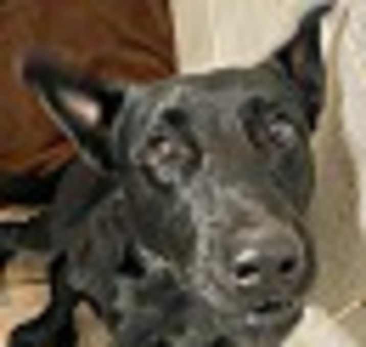 Photo of Jack