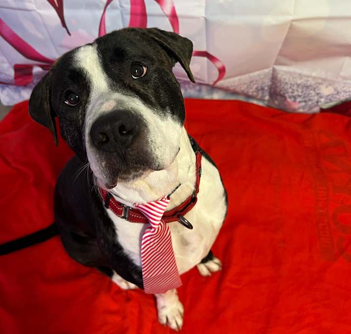 Photo of Murdock