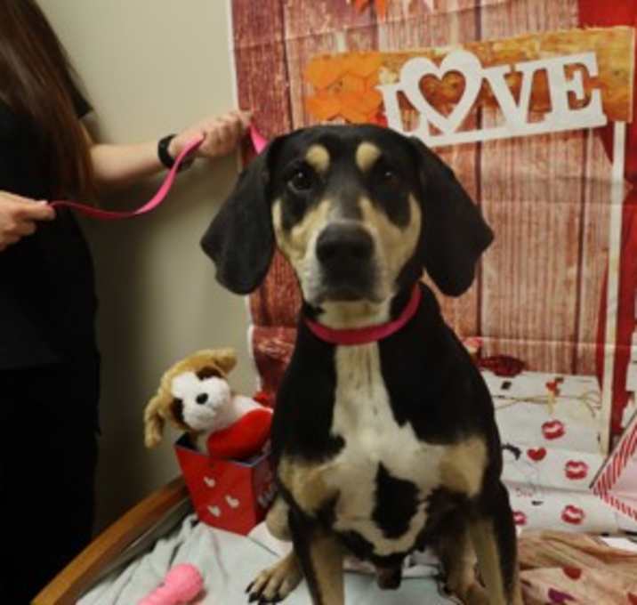 Photo of Duke 7/17/2025