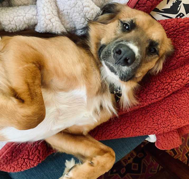 Photo of Tucker
