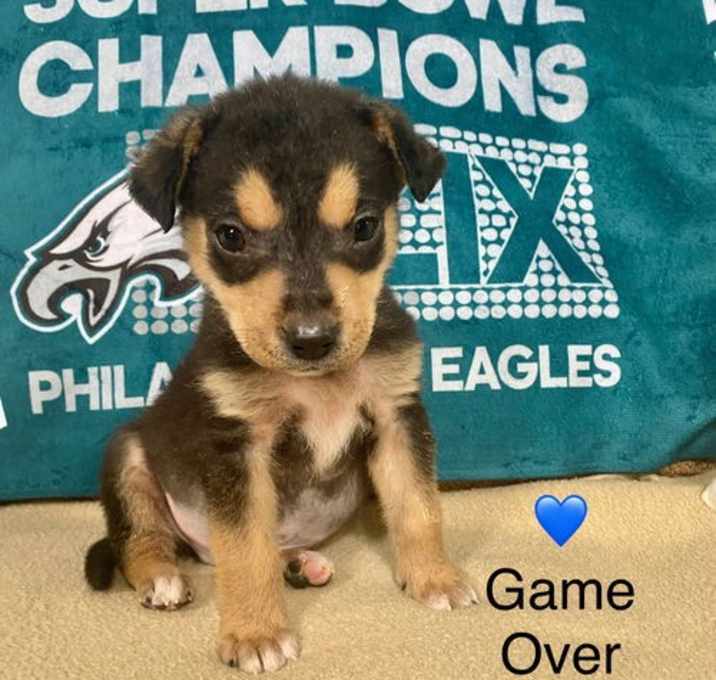 Photo of Game Over