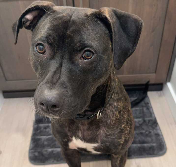 Photo of Annie
