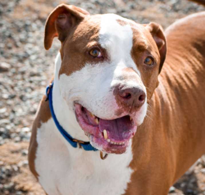 Photo of Duke