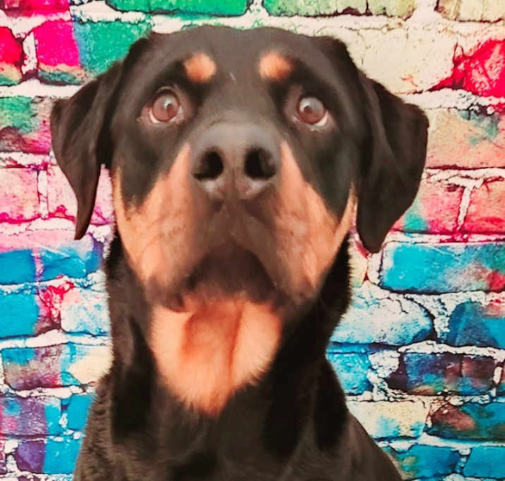 Photo of Georgia