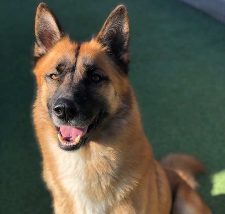Photo of Lucas