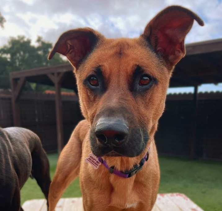 Photo of Moe