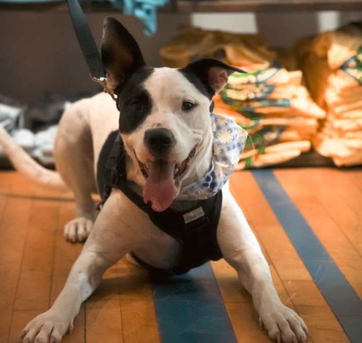 Photo of Radar - Ready for Fun!
