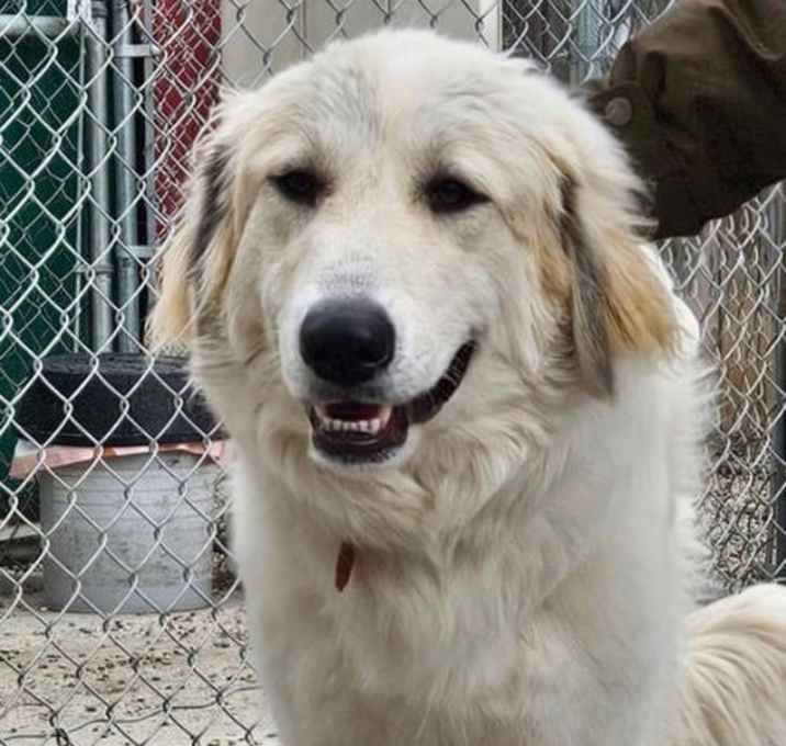 Photo of Nala