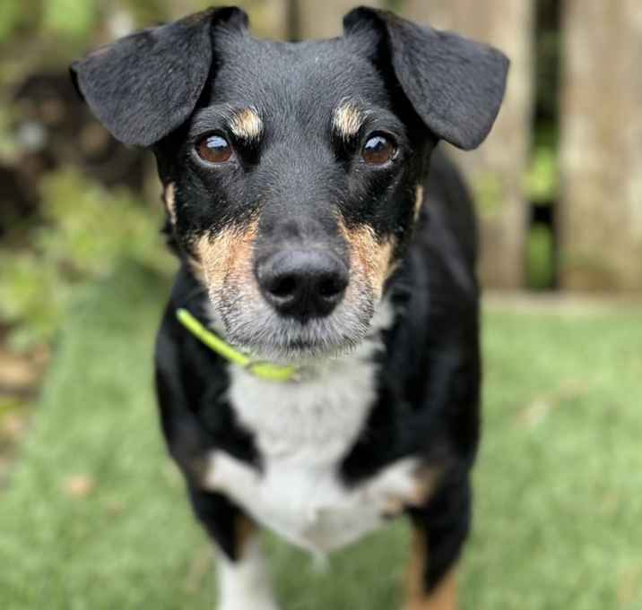 Photo of Huey