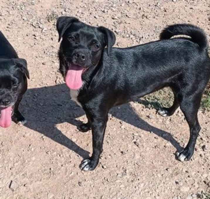 Photo of **MARCOS & MILLY